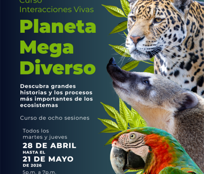 Curso interacciones vivas - planes bogota