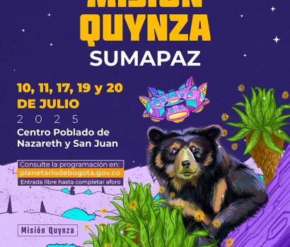 Ilustración oso 