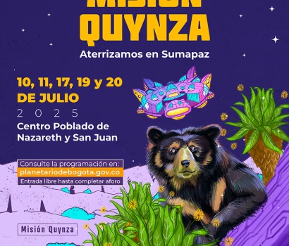 Ilustración oso 