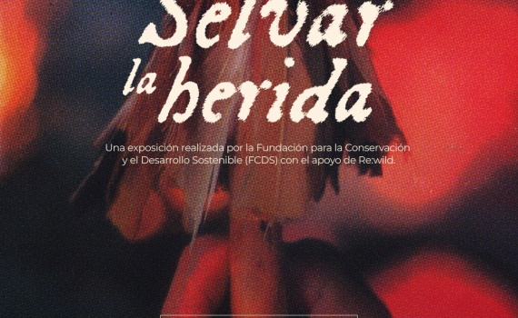 Exposición - Selvar la Herida