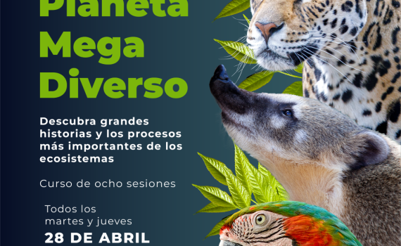 Curso interacciones vivas - planes bogota