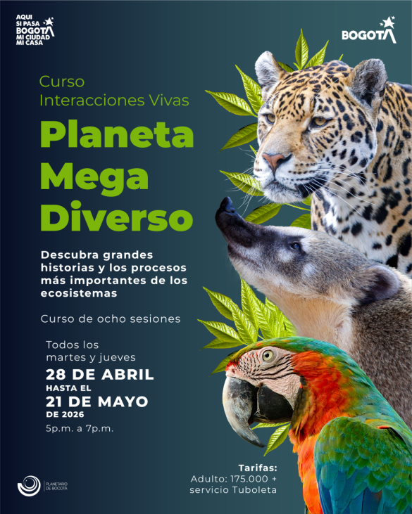 Curso interacciones vivas - planes bogota