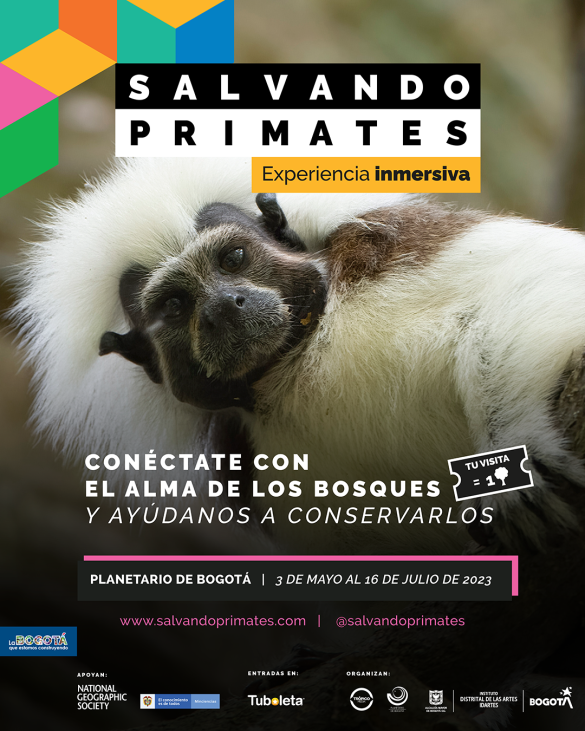 Afiche Salvando Primates