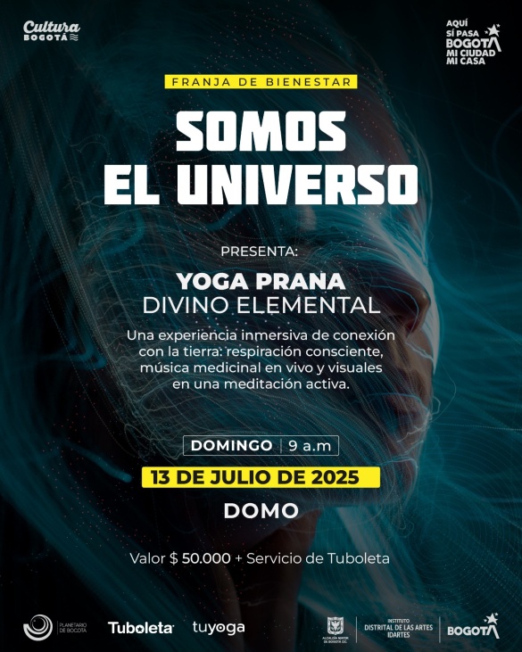 Somos el Universo Ilustración energía